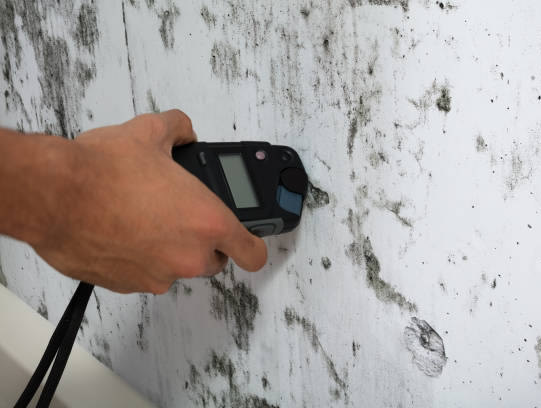 mold-testing-los-angeles